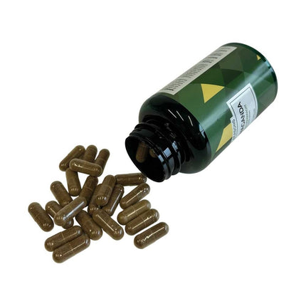 Fit4Seasons Ashwaganda - 120 capsules