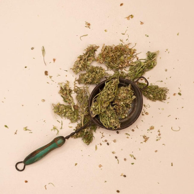 Hemnia Omnia CBG - CBG-rijke cannabis, 150 g