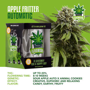iGrowCan Apple Fritter Autoflower