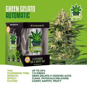 iGrowCan Green Gelato Autoflower