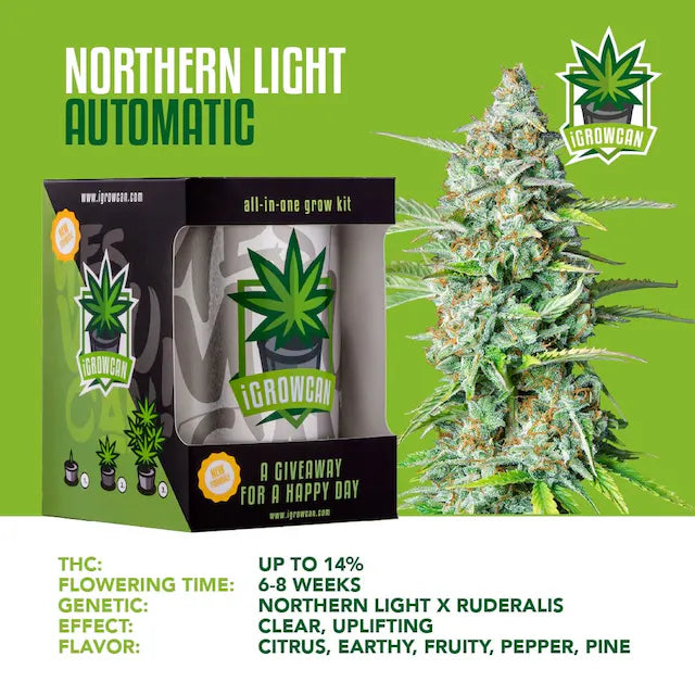 iGrowCan Northern Light Autoflower
