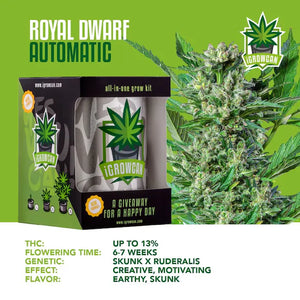 iGrowCan Royal Dwarf Autoflower
