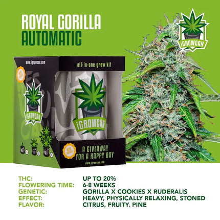 iGrowCan Royal Gorilla Autoflower