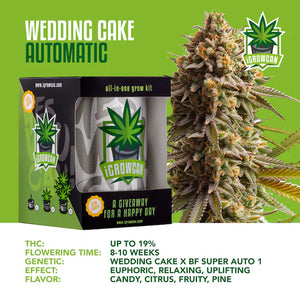 iGrowCan Wedding Cake Autoflower