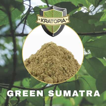 Kratopia Green Sumatra Kratom Poeder – 50 gram