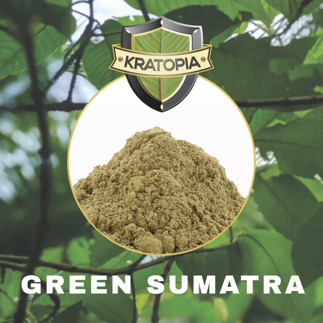 Kratopia Green Sumatra Kratom Poeder – 50 gram