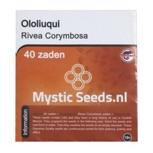 McMystic Rivea Corymbosa – Ololiuqui