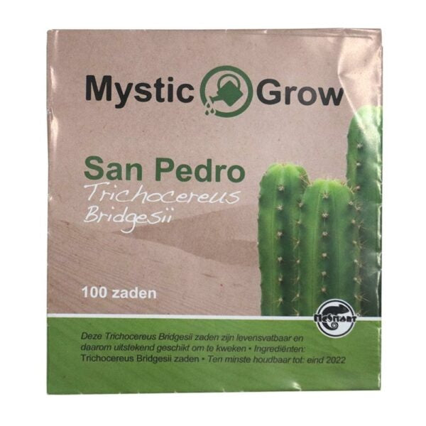 McMystic San Pedro T bridgesii zaden – 100 stuks