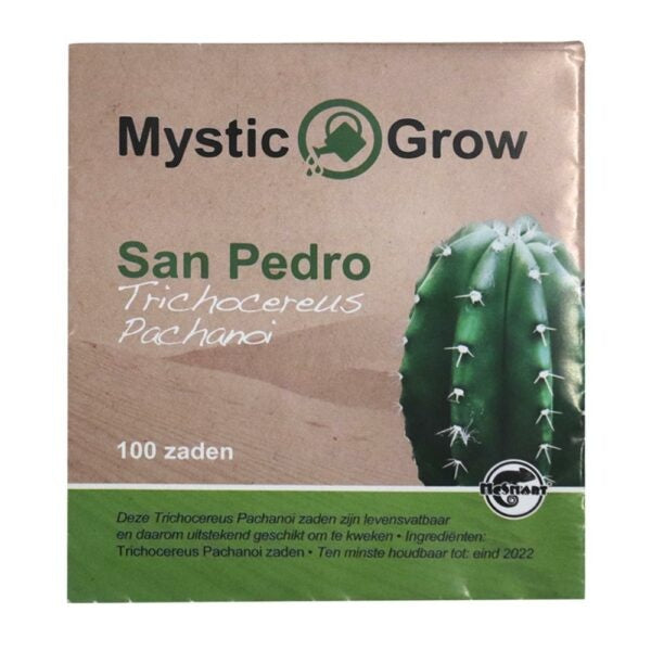 McMystic San Pedro T Pachanoi zaden – 100 stuks