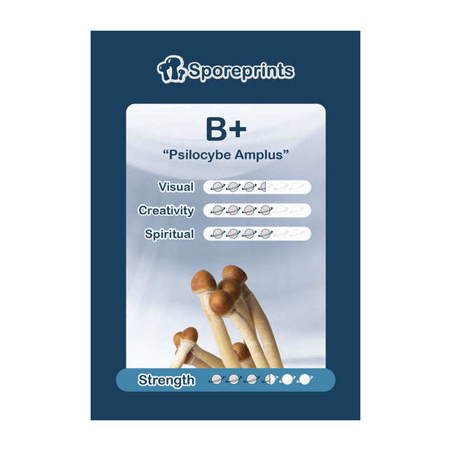 McSmart B+ - Sporeprint