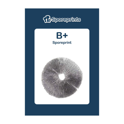 McSmart B+ - Sporeprint