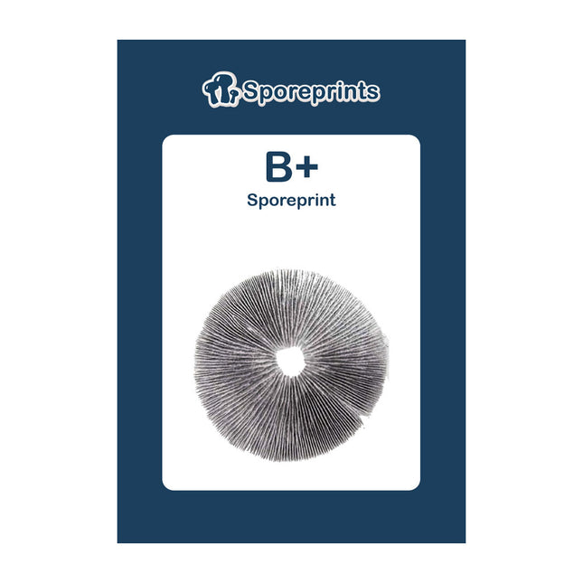 McSmart B+ - Sporeprint