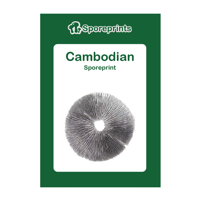 McSmart Cambodian - Sporeprint