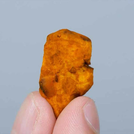 McSmart Dutch Dragons - 15g