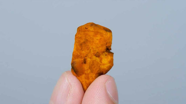 McSmart Dutch Dragons - 15g