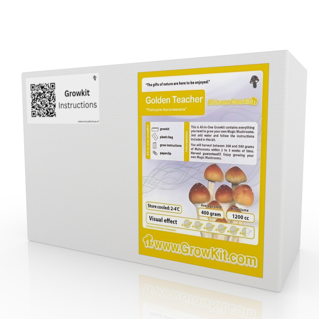 McSmart Golden Teacher Growkit