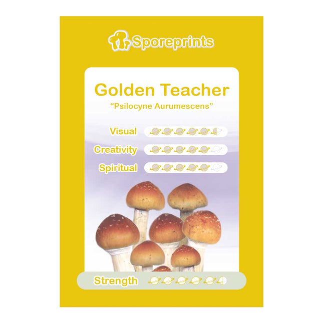 McSmart Golden Teacher - Sporeprint