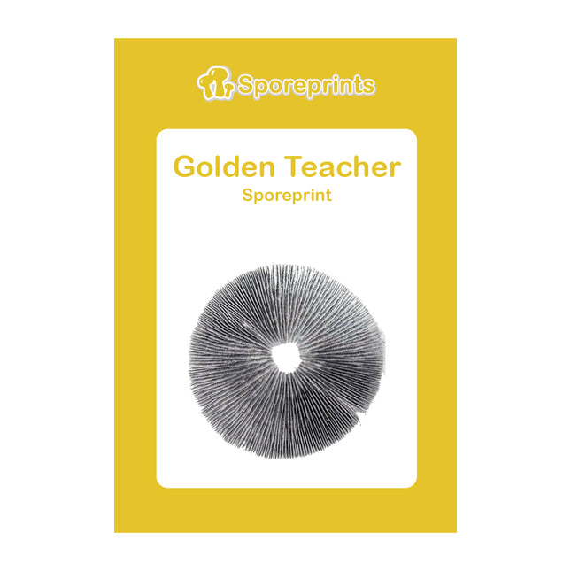 McSmart Golden Teacher - Sporeprint