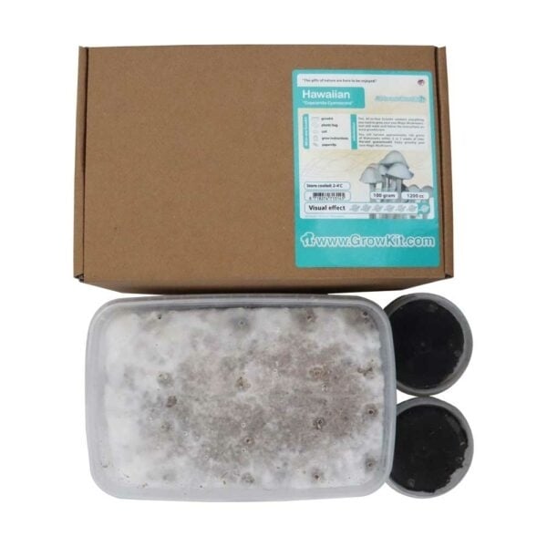 McSmart High Hawaiian Growkit