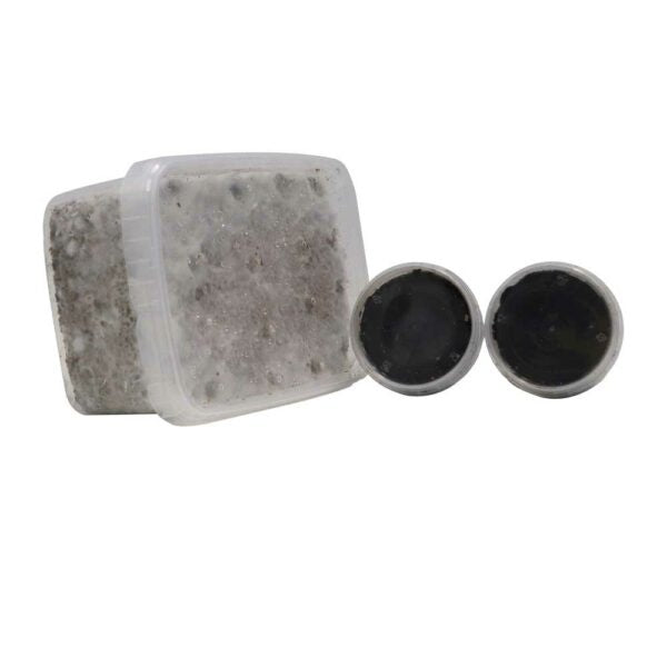 McSmart High Hawaiian Growkit