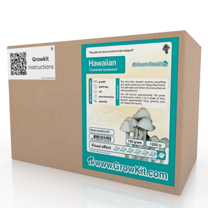 McSmart High Hawaiian Growkit