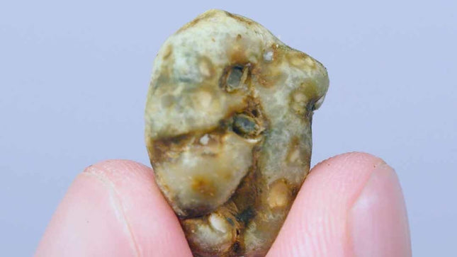 McSmart High Hawaiians - 25g