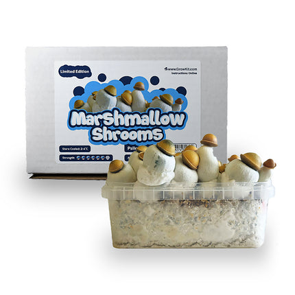 McSmart Marshmallow Shrooms Growkit - Limited Edition