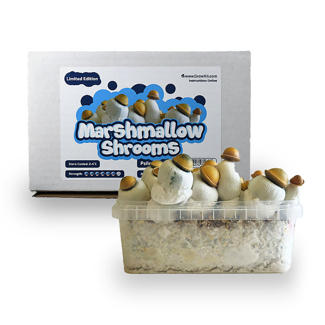 McSmart Marshmallow Shrooms Growkit - Limited Edition
