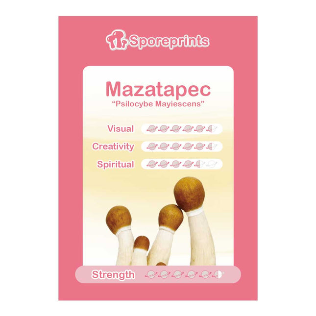 McSmart Mazatapec - Sporeprint