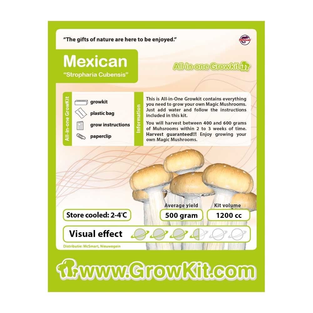 magic mushrooms aufbewahren Mexican Growkit