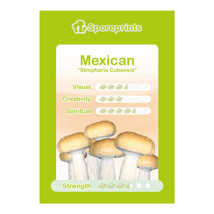 McSmart Mexican - Sporeprint