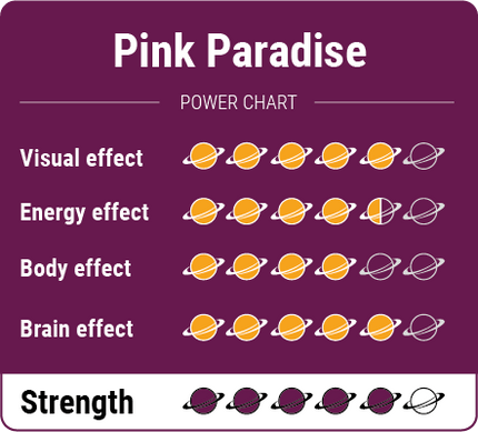 McSmart Pink Paradise