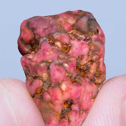 McSmart Pink Paradise