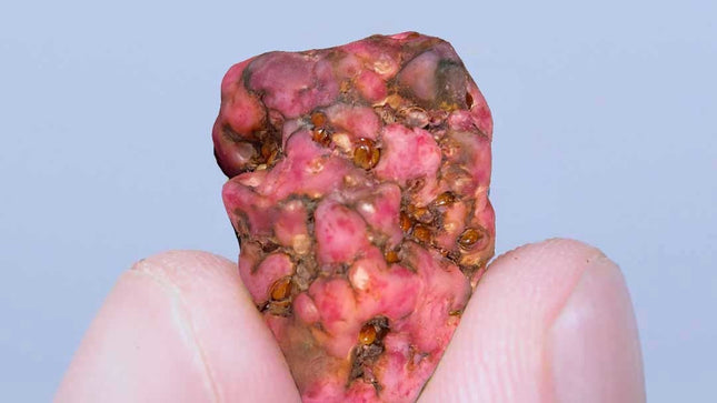 McSmart Pink Paradise