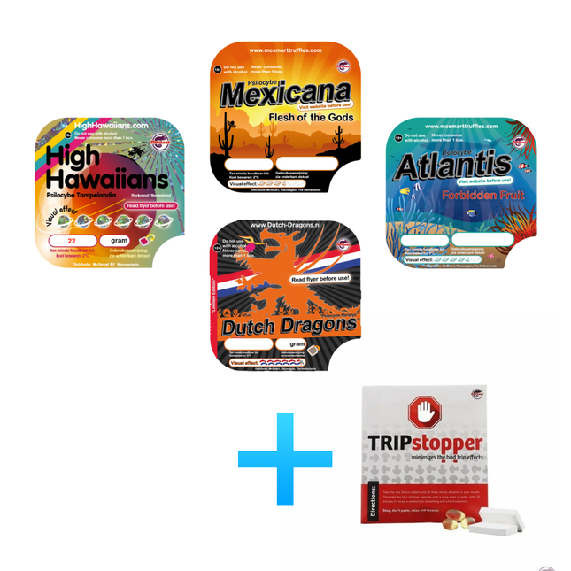 McSmart Trip around the world