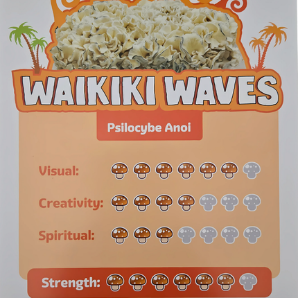 McSmart Waikiki Waves - 1200cc