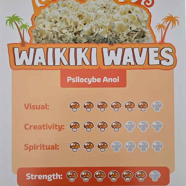 McSmart Waikiki Waves - 1200cc