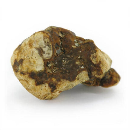 Mush Magic Atlantis - 15g