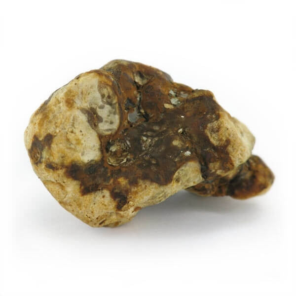 Mush Magic Atlantis - 15g