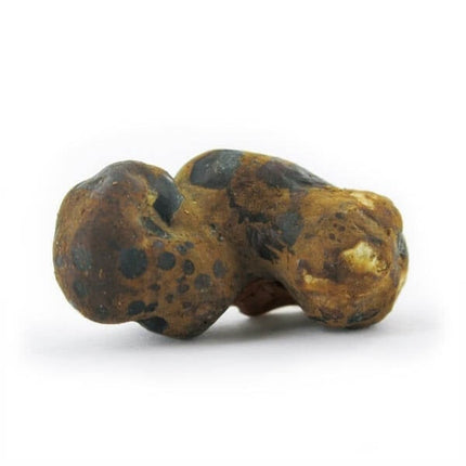 Mush Magic Fantasia - 15g