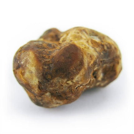 Mush Magic Pajaritos - 15g