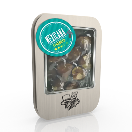 Mush Magic Tampanensis - 15g