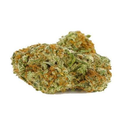 Novus Fumus Auto Zkittlez 5 Zaden – CC