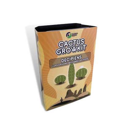 Novus Fumus Bridgesii - Cactus Kweekset