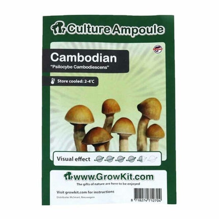 Novus Fumus Cambodian – Culture Ampoule Set