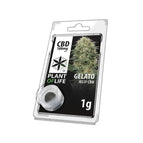 Gelato 1g