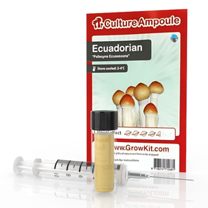 Novus Fumus Ecuadorian – Culture Ampoule Set