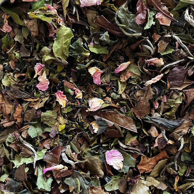 Novus Fumus Evening Groove Happy Tea - 12 gram