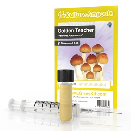 Novus Fumus Golden Teacher – Culture Ampoule Set