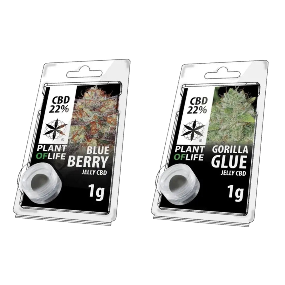 Borówka amerykańska 1g